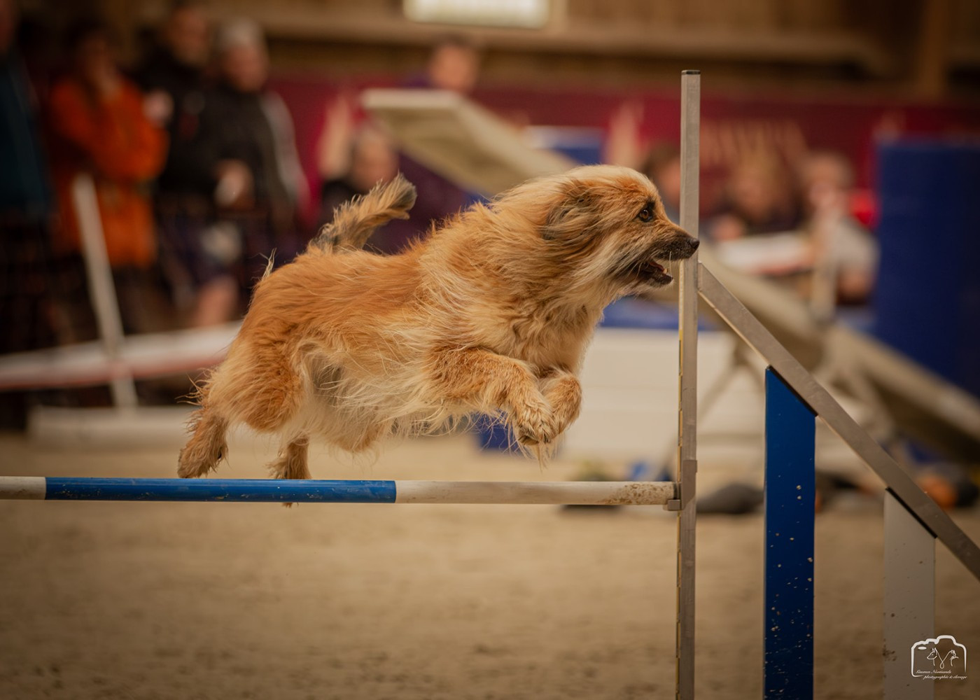 Révlone Du Ruisseau De L'Hubillane