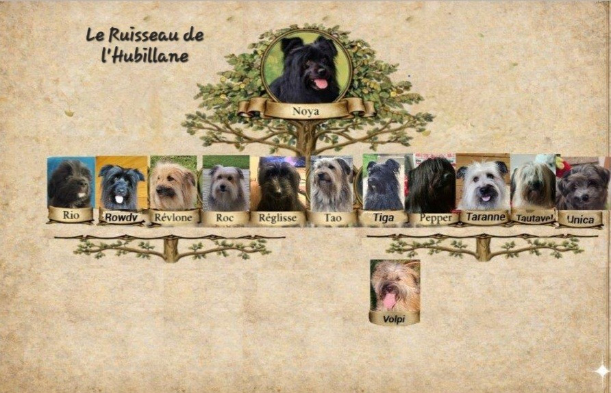 Les bébés du Ruisseau de l'hubillane